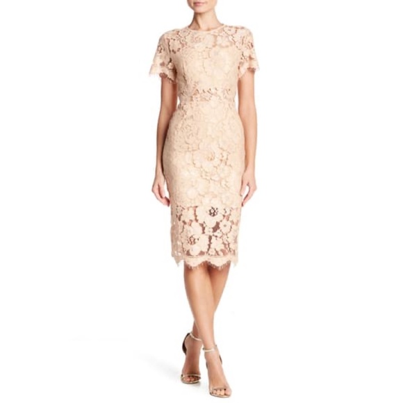 NSR Dresses & Skirts - NWT NSR Lace short sleeve sheath midi dress